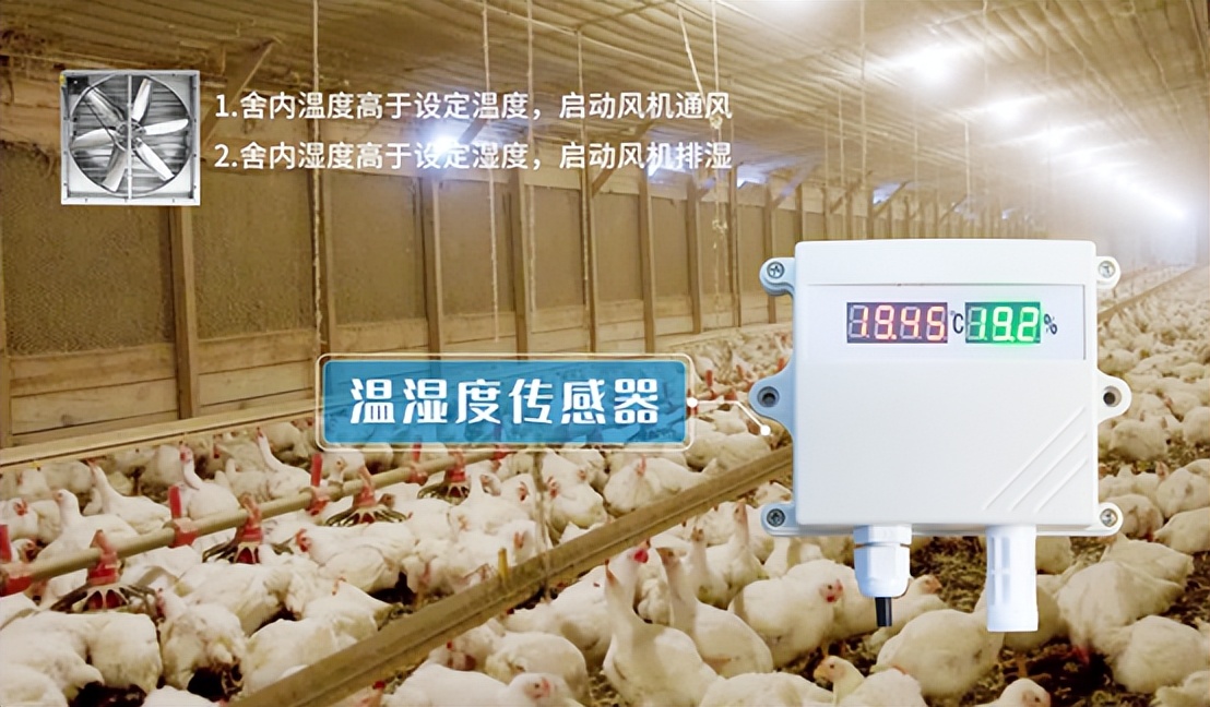 溫濕度傳感器在農(nóng)業(yè)養(yǎng)殖業(yè)方向 溫濕度傳感器在農(nóng)業(yè)養(yǎng)殖業(yè)方向