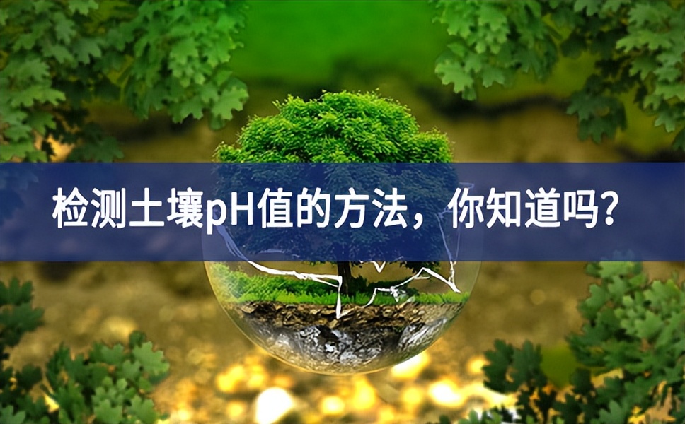 檢測(cè)土壤pH值的方法，你知道嗎？