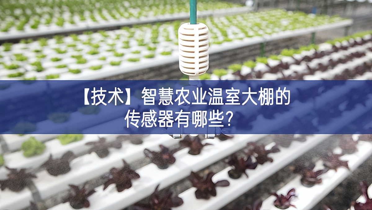 【技術(shù)】智慧農(nóng)業(yè)溫室大棚的傳感器有哪些? 【技術(shù)】智慧農(nóng)業(yè)溫室大棚的傳感器有哪些?