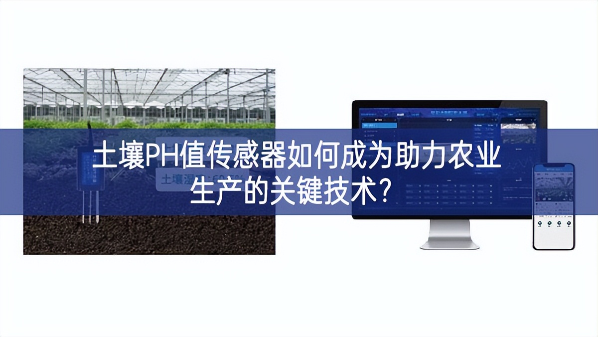 土壤PH值傳感器如何成為助力農業(yè)生產的關鍵技術？