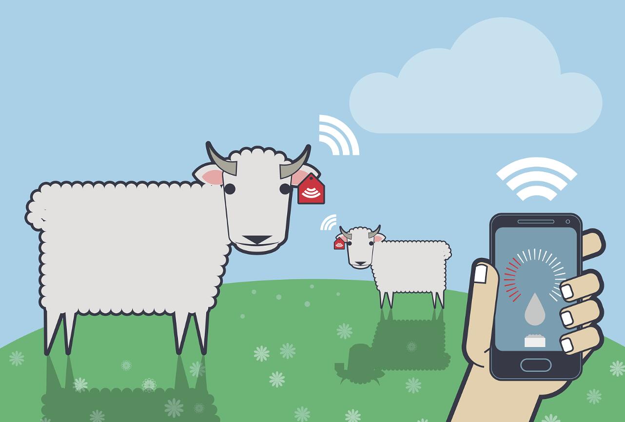 物聯(lián)網(wǎng)如何保證食品安全？