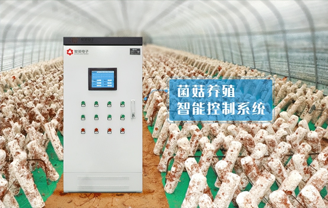菌菇養(yǎng)殖智能控制系統(tǒng) 菌菇養(yǎng)殖智能控制系統(tǒng)