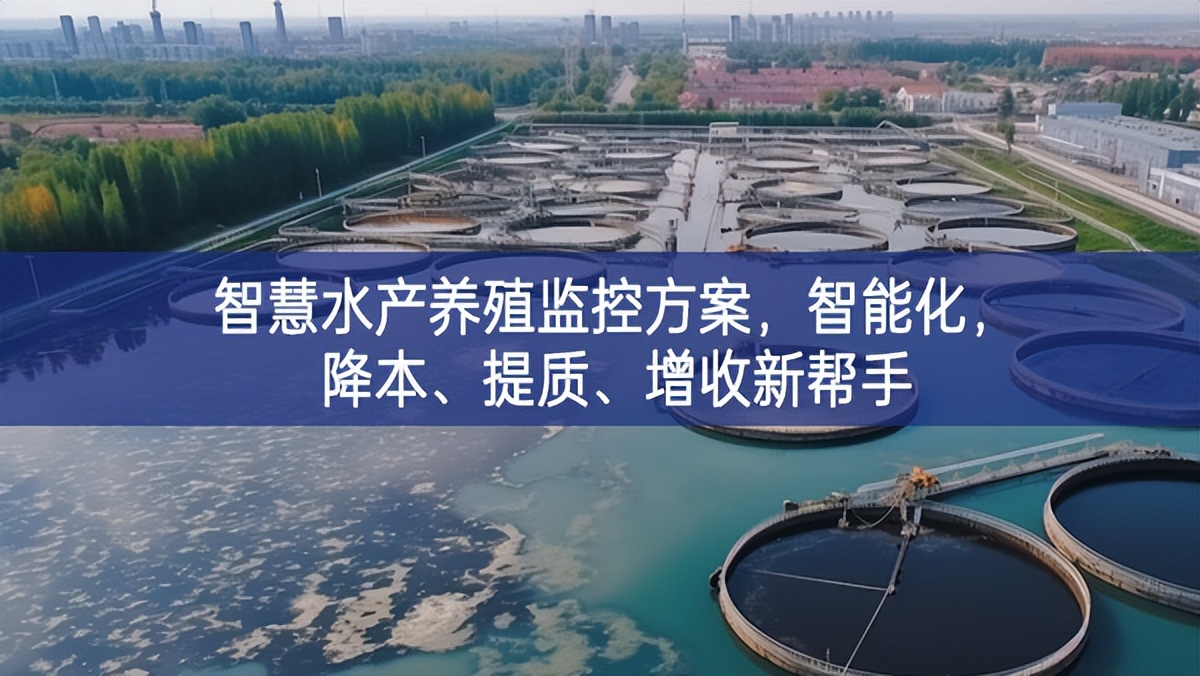 智慧水產(chǎn)養(yǎng)殖監(jiān)控方案，智能化，降本、提質(zhì)、增收新幫手