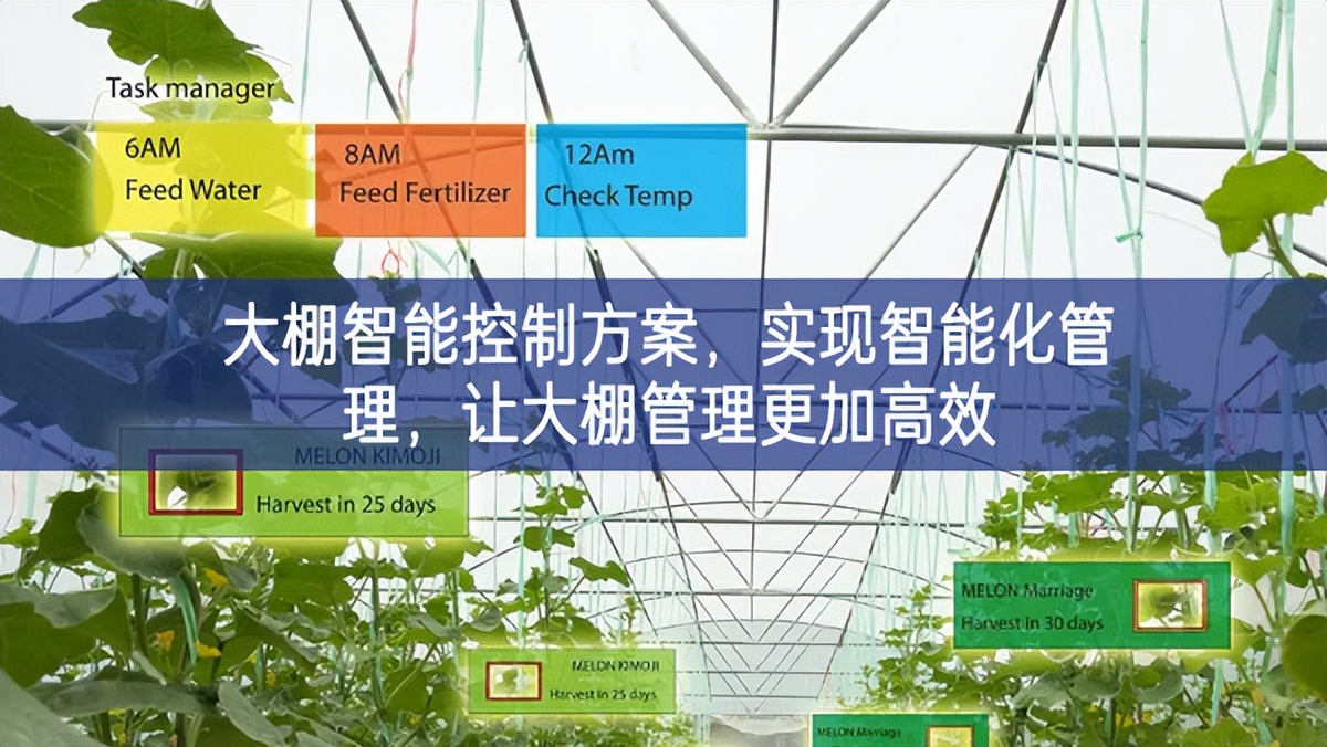 大棚智能控制方案，實(shí)現(xiàn)智能化管理，讓大棚管理更加高效