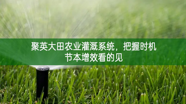 聚英大田農(nóng)業(yè)灌溉系統(tǒng)，把握時(shí)機(jī)節(jié)本增效看的見(jiàn)