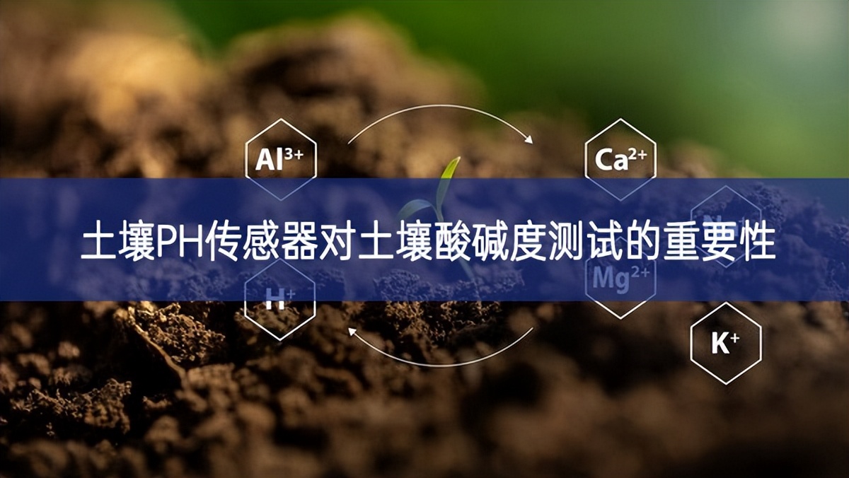 土壤PH傳感器對(duì)土壤酸堿度測(cè)試的重要性