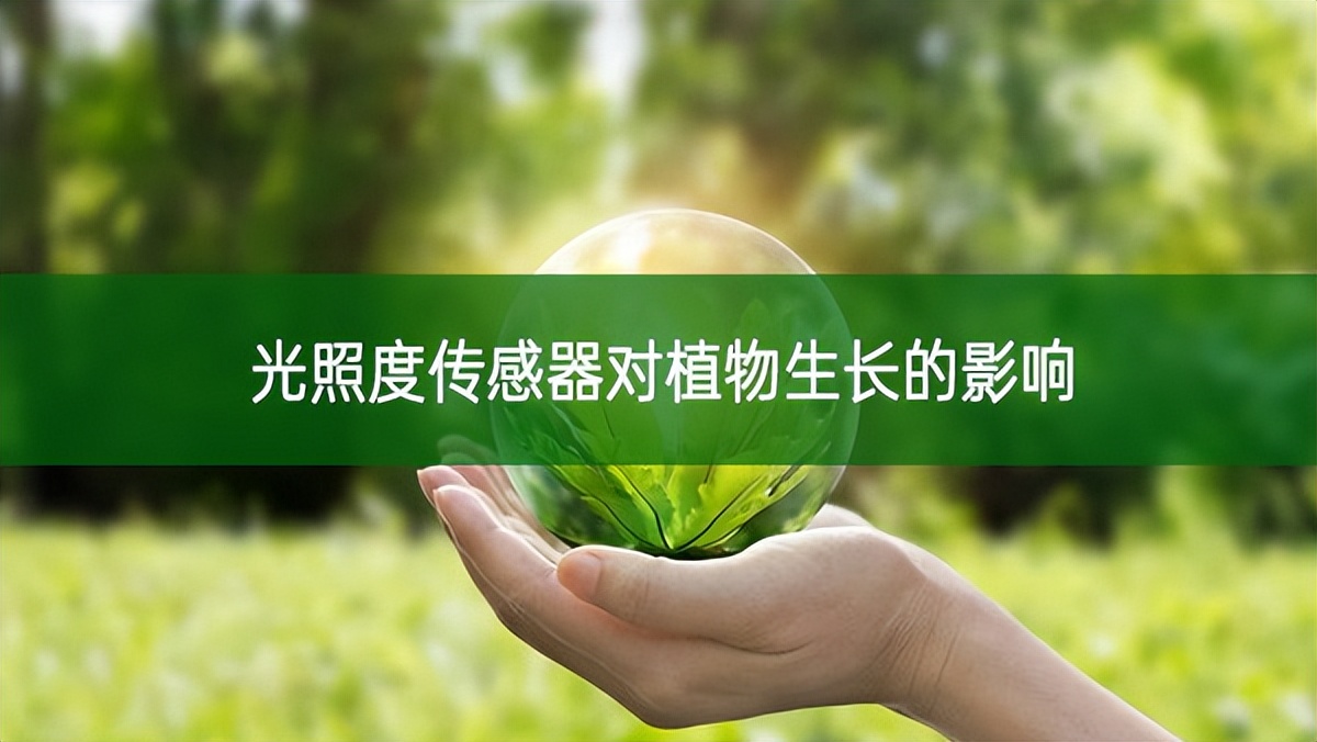 光照度傳感器對(duì)植物生長(zhǎng)的影響 光照度傳感器對(duì)植物生長(zhǎng)的影響