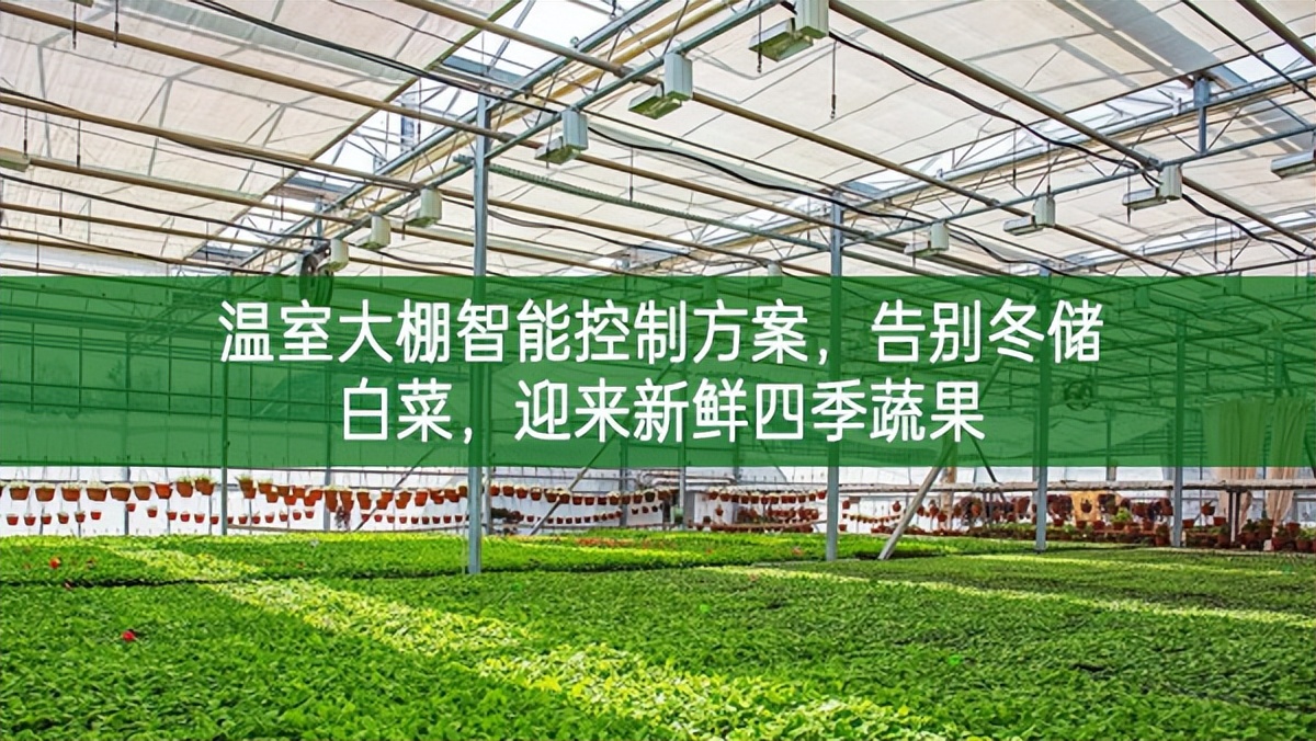 溫室大棚智能控制方案，告別冬儲(chǔ)白菜，迎來新鮮四季蔬果