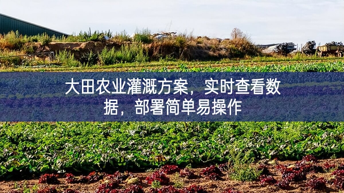 大田農(nóng)業(yè)灌溉方案，實時查看數(shù)據(jù)，部署簡單易操作
