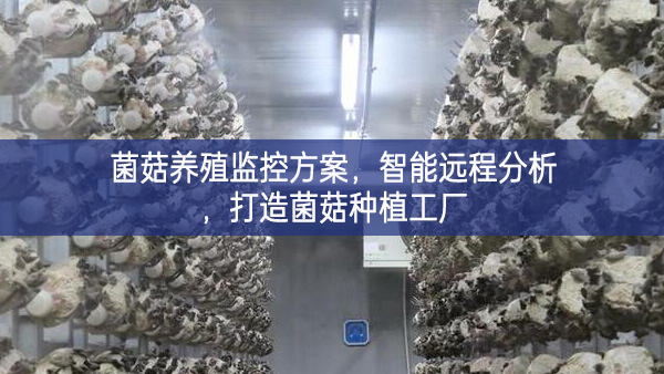 菌菇養(yǎng)殖監(jiān)控方案，智能遠(yuǎn)程分析，打造菌菇種植工廠