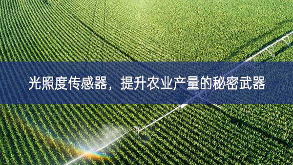 光照度傳感器，提升農(nóng)業(yè)產(chǎn)量的秘密武器