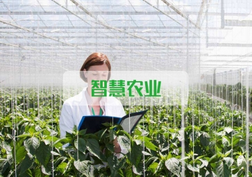 春雷一聲 驚蟄到，聚英智慧農(nóng)業(yè)系統(tǒng)助力農(nóng)業(yè)春耕