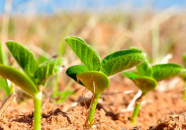 選擇土壤溫濕度傳感器時(shí)要注意哪些？