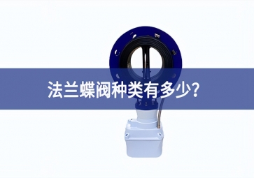 法蘭蝶閥種類有多少？