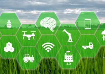 什么是智慧農業(yè)？智慧農業(yè)的應用有哪些？