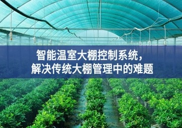 「智慧農業(yè)」智能溫室大棚控制系統(tǒng)，解決傳統(tǒng)大棚管理中的難題