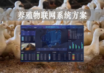 「智慧養(yǎng)殖」數(shù)字經(jīng)濟時代到來，養(yǎng)殖物聯(lián)網(wǎng)系統(tǒng)方案來了