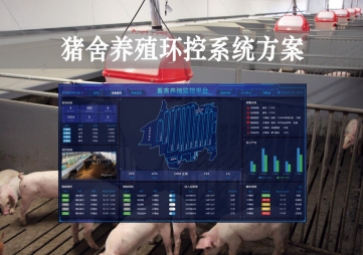 「智慧養(yǎng)殖」豬舍養(yǎng)殖環(huán)控系統(tǒng)方案，獲取環(huán)境參數(shù)，數(shù)字化畜牧業(yè)