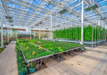 「智慧農業(yè)」農業(yè)領域也迎來了智能化革命，智慧溫室控制系統(tǒng)應用