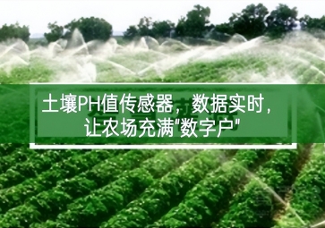 土壤PH值傳感器，數(shù)據(jù)實(shí)時(shí)，讓農(nóng)場(chǎng)充滿"數(shù)字戶"