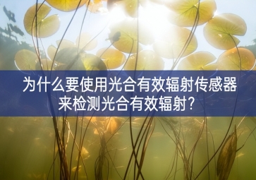 為什么要使用光合有效輻射傳感器來檢測(cè)光合有效輻射？