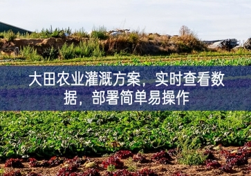 「智慧農(nóng)業(yè)」大田農(nóng)業(yè)灌溉方案，實時查看數(shù)據(jù)，部署簡單易操作