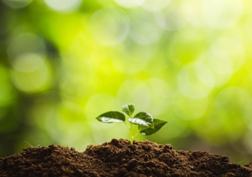 光照度傳感器，如何成了智慧農(nóng)業(yè)的新寵兒