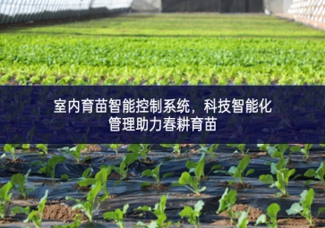 室內育苗智能控制系統(tǒng)，科技智能化管理助力春耕育苗