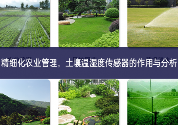 精細(xì)化農(nóng)業(yè)管理，土壤溫濕度傳感器的作用與分析