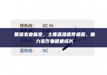 精準(zhǔn)農(nóng)業(yè)新寵，土壤溫濕度傳感器，助力農(nóng)作物健康成長
