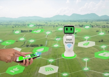 人工智能和傳感器技術如何提高農業(yè)生產力