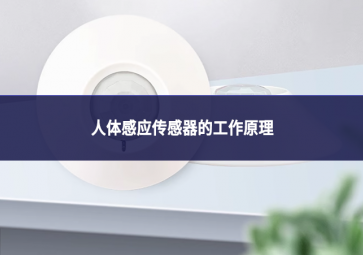 人體感應(yīng)傳感器的工作原理